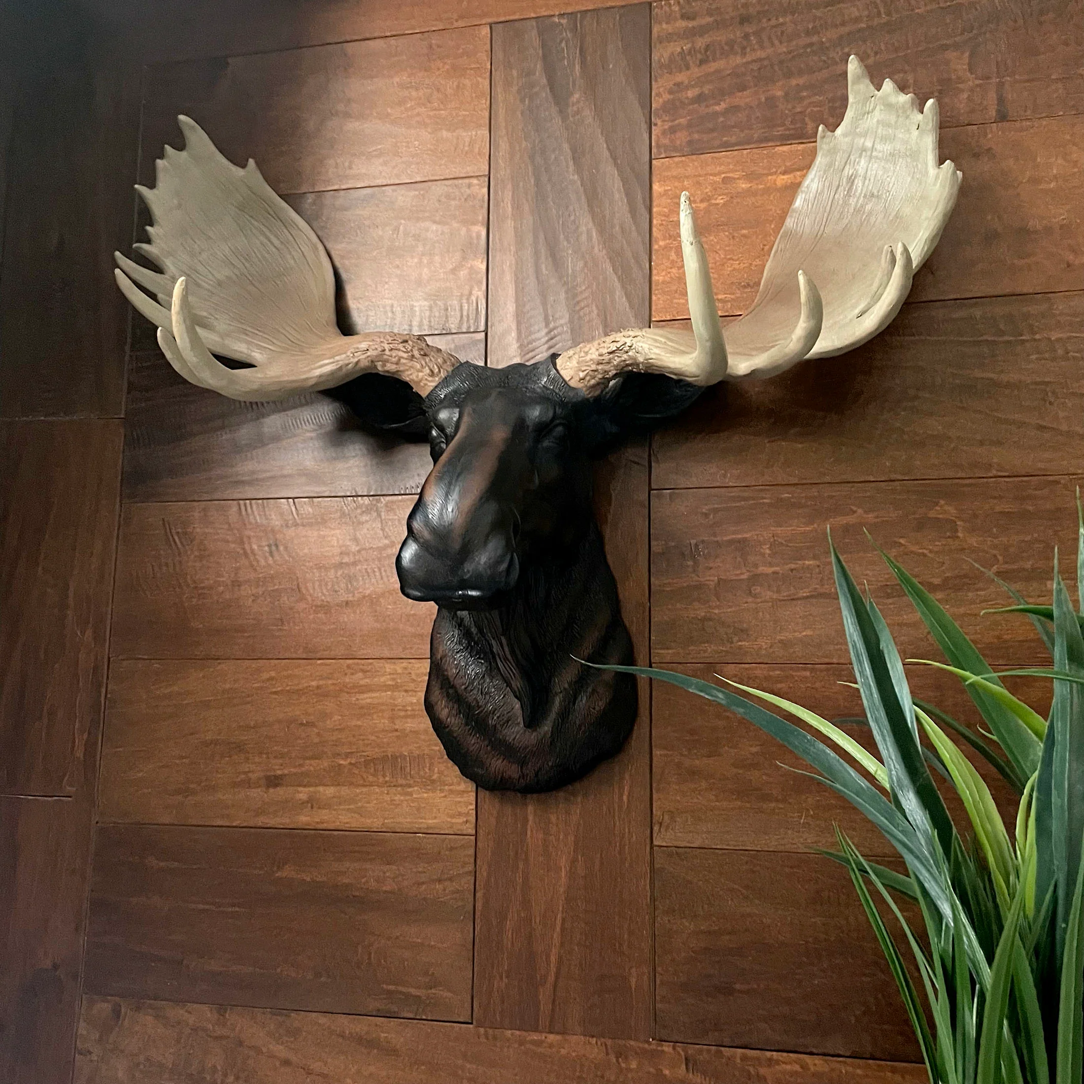 Moose Head Bust Wall Sculpture, 20 x 23 Inch Brown Painted Resin North American Moose Wall Mount for Rustic Lodge, Cabin, Man Cave or Living Room Animal Wall Decor Indoor or Covered Patio - Image 4