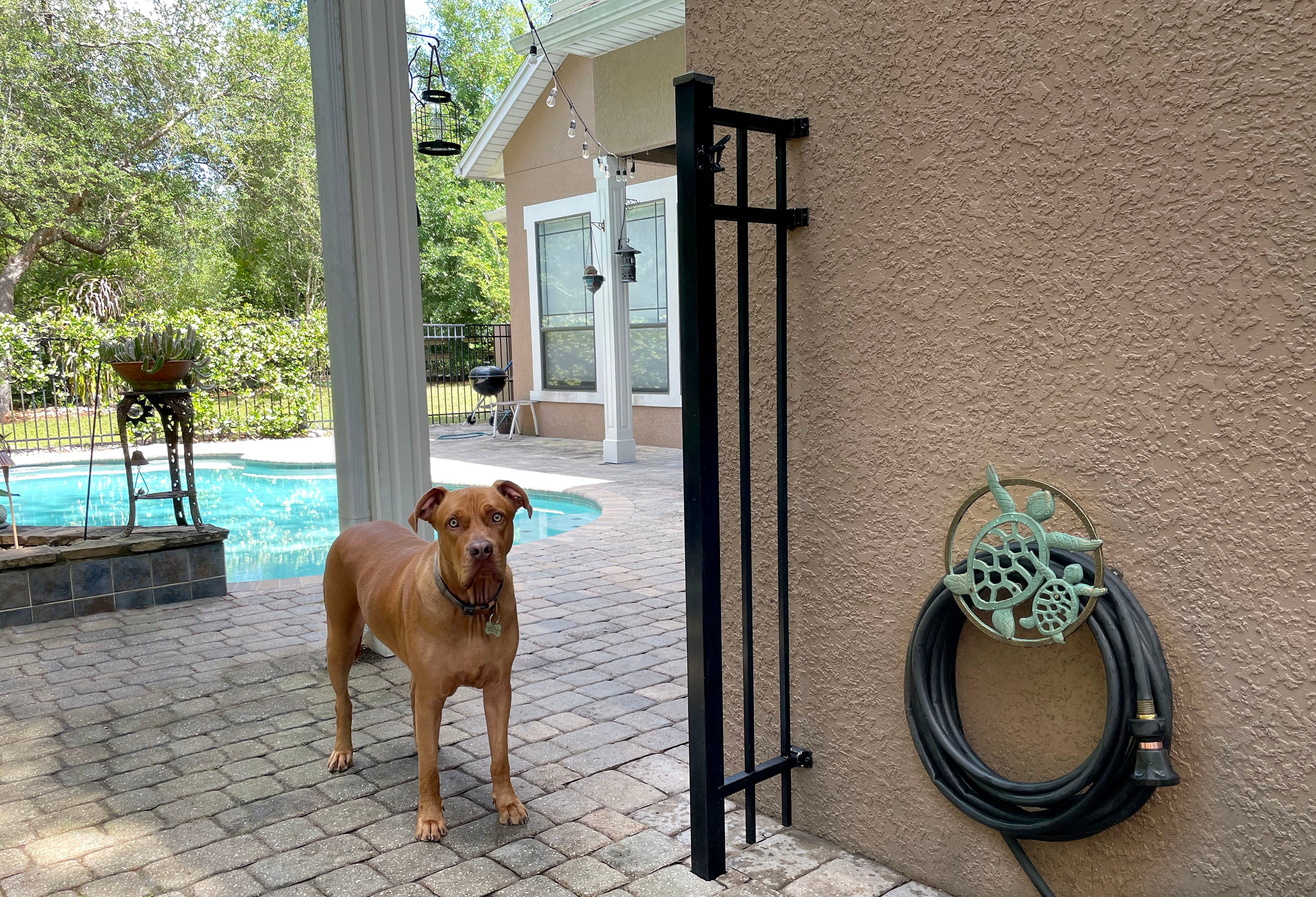 Cast Iron Sea Turtle Decorative Wall Mounted Hanging Garden Hose Holder - Image 5