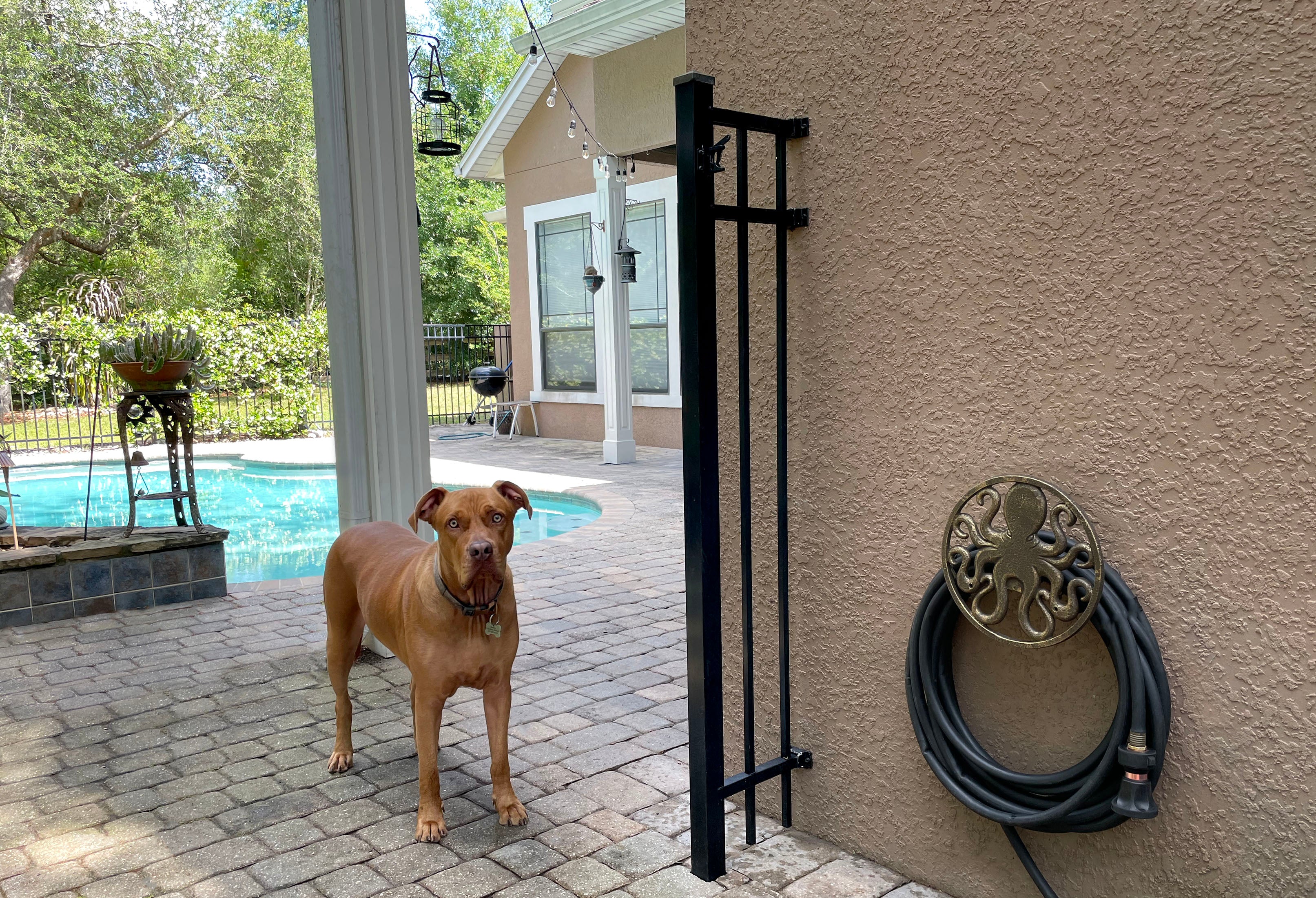 Cast Iron Octopus Decorative Wall Mounted Hanging Garden Hose Hanger Holder - Image 4