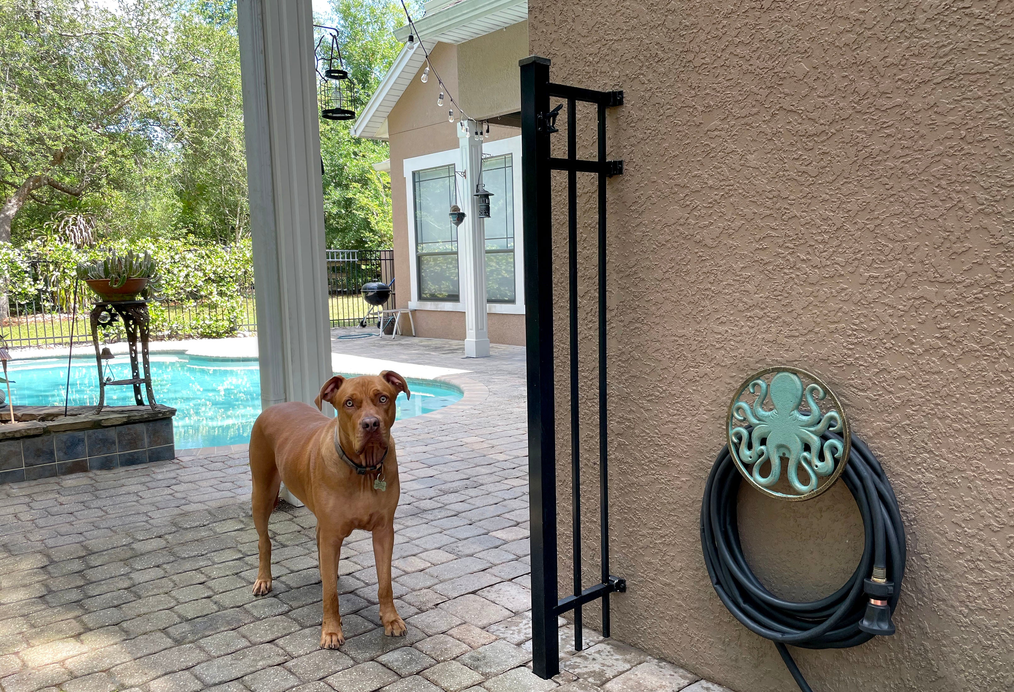 Cast Iron Octopus Decorative Wall Mounted Hanging Garden Hose Hanger Holder - Image 5