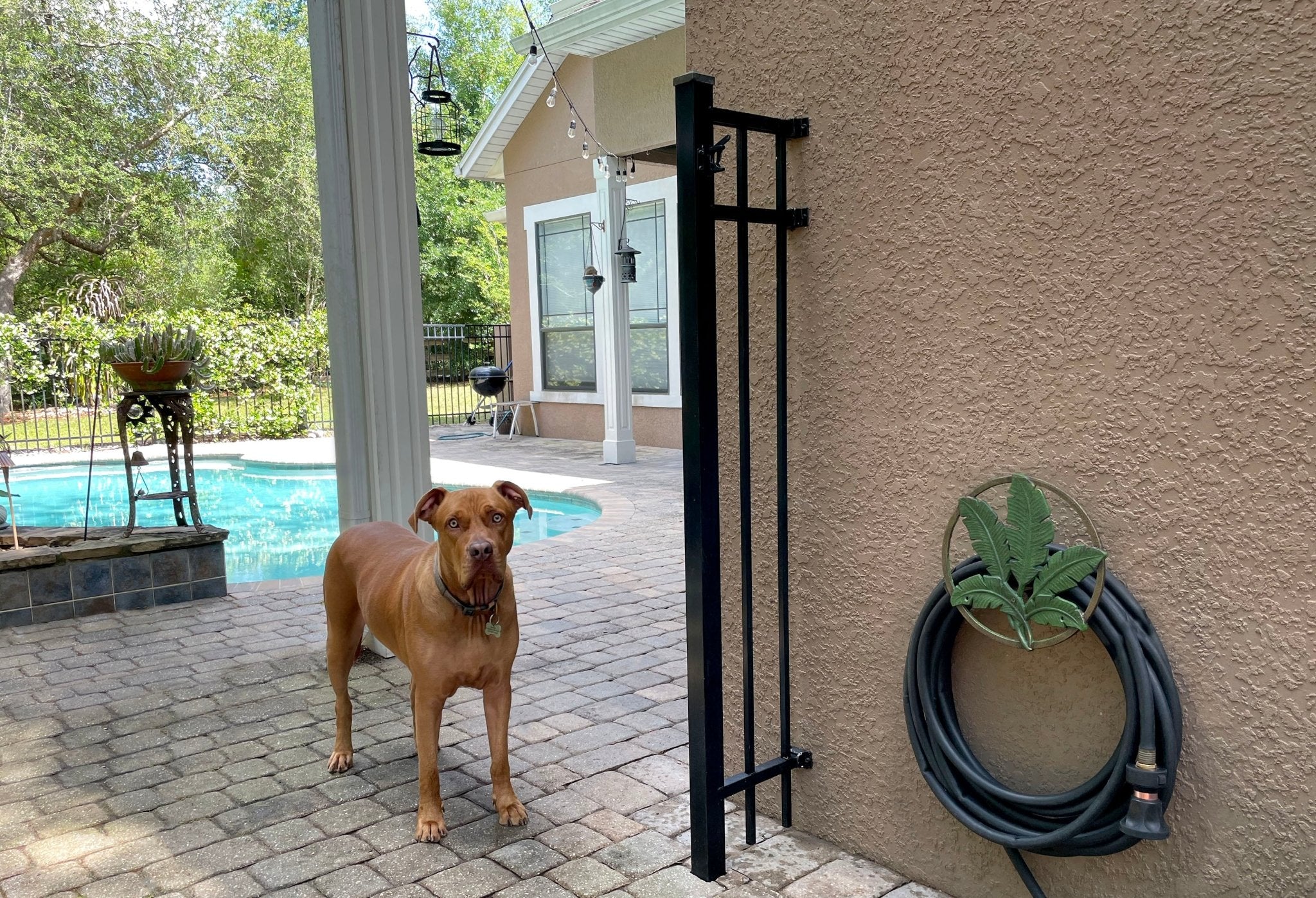 Tropical Leaf Hanging Cast Iron Decorative Wall Mounted Garden Hose Holder - Image 6