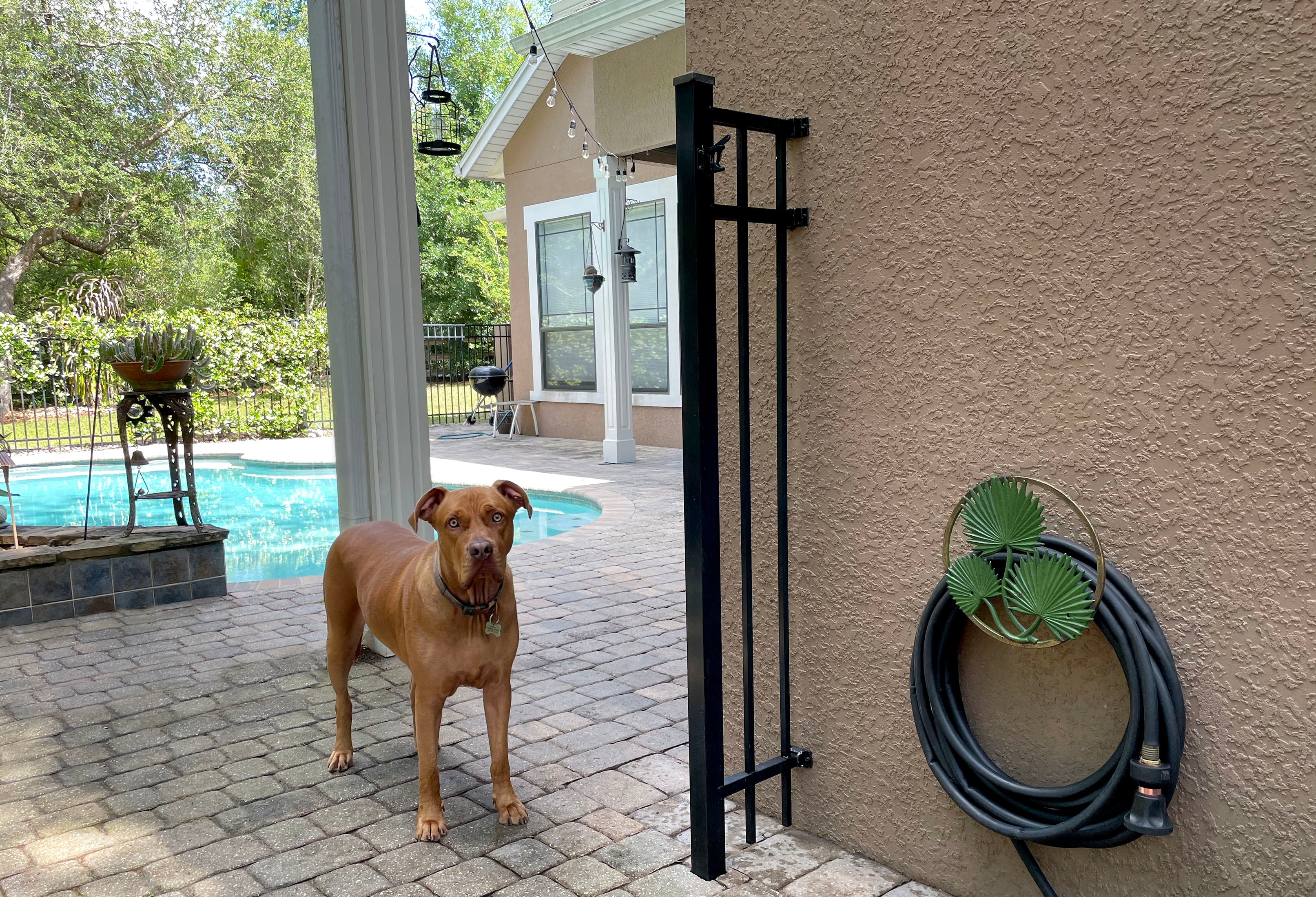 Tropical Leaf Hanging Cast Iron Decorative Wall Mounted Garden Hose Holder - Image 7