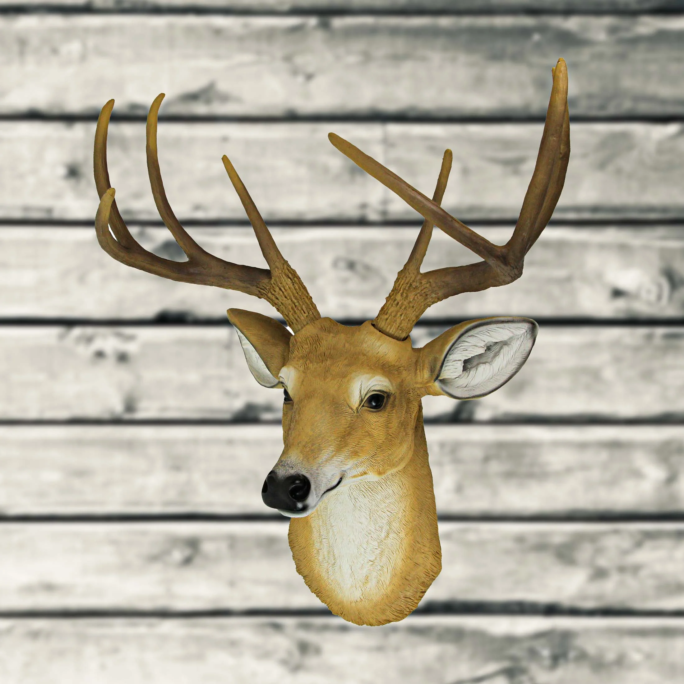 20 Inch 8-Point Buck Deer Head Bust Wall Mounted Sculpture Hunting Home Decor - Image 4