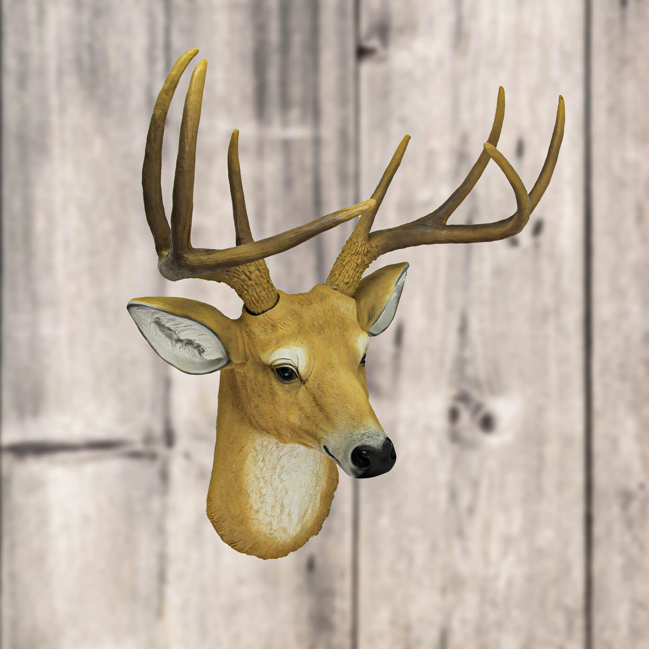 20 Inch 8-Point Buck Deer Head Bust Wall Mounted Sculpture Hunting Home Decor - Image 5