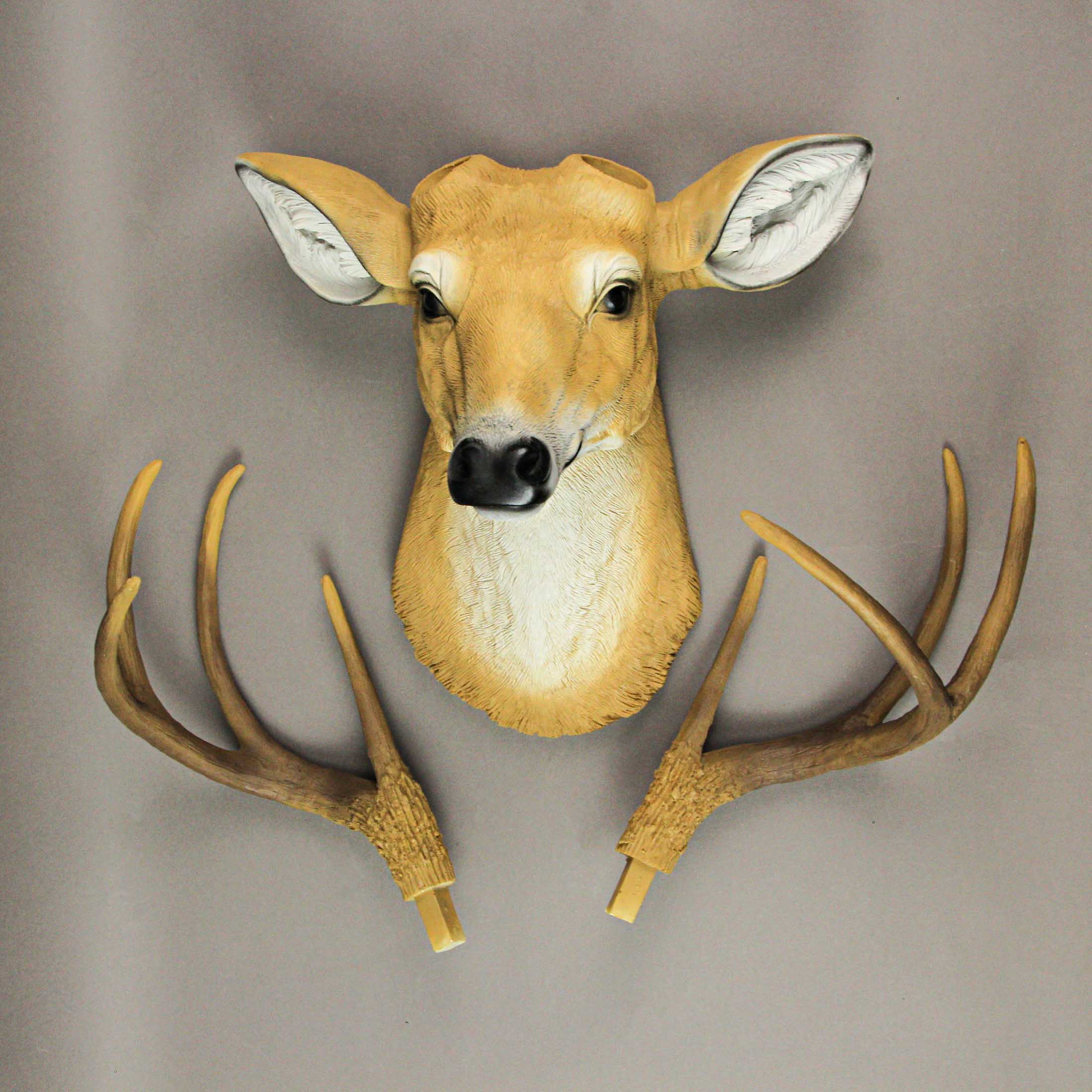 20 Inch 8-Point Buck Deer Head Bust Wall Mounted Sculpture Hunting Home Decor - Image 7
