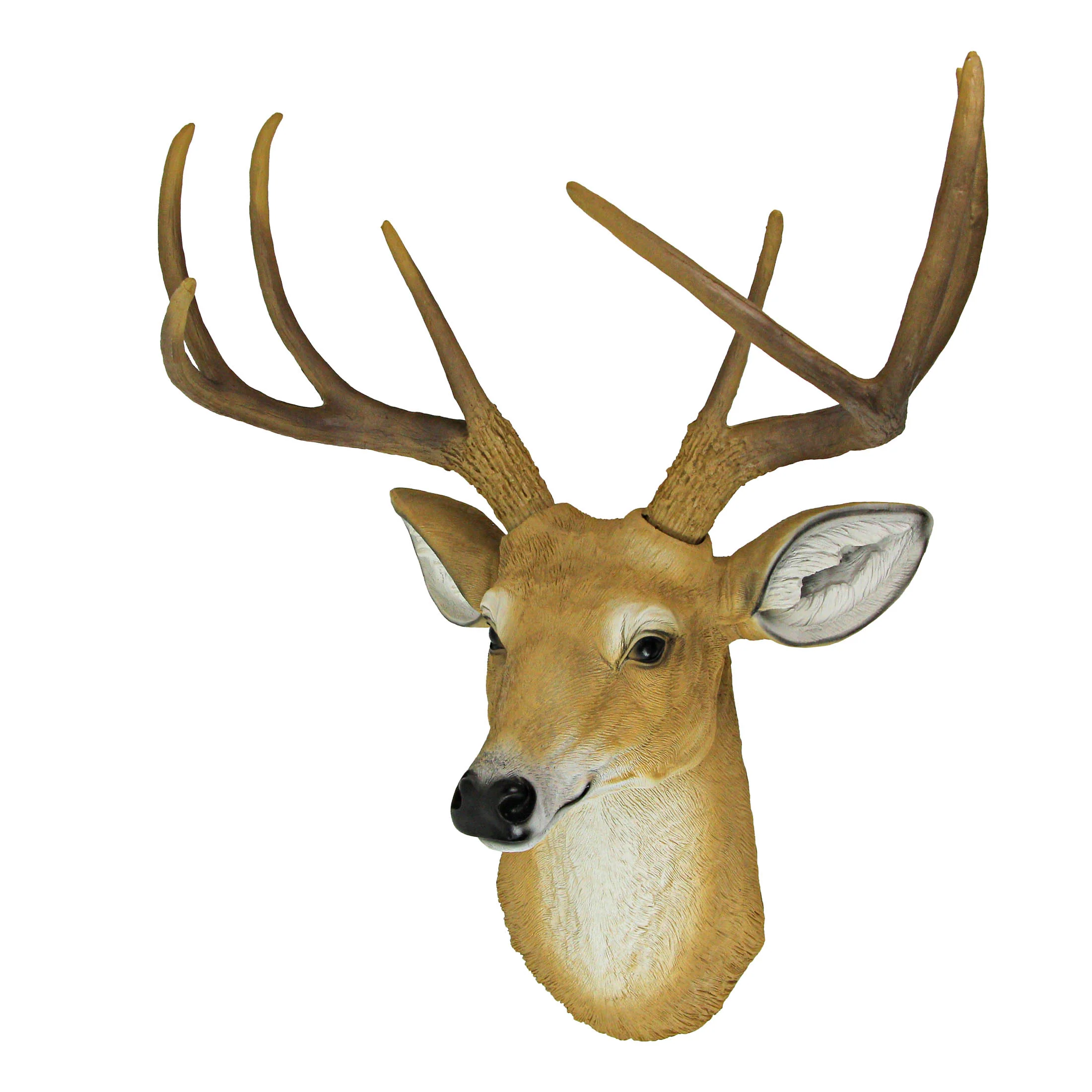 20 Inch 8-Point Buck Deer Head Bust Wall Mounted Sculpture Hunting Home Decor - Image 8